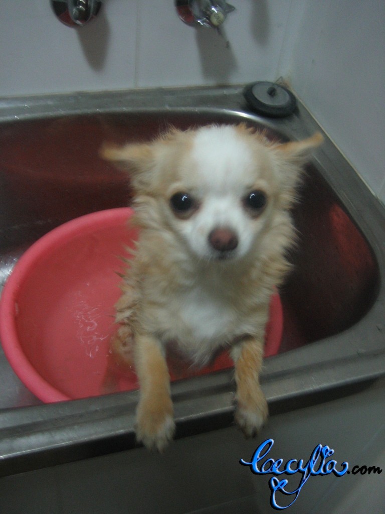 Theodore in bath