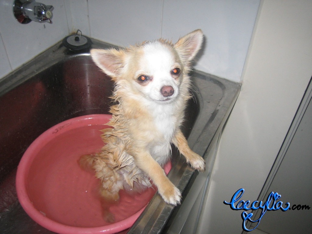 Theodore in bath2